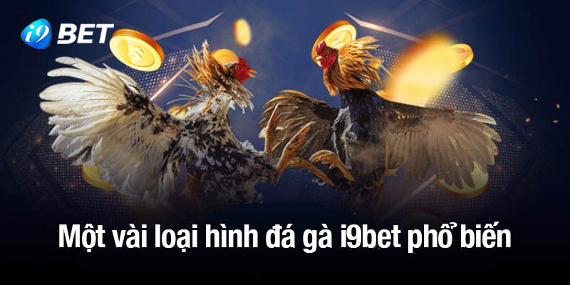 Một vài loại hình đá gà i9bet phổ biến nhất hiện nay